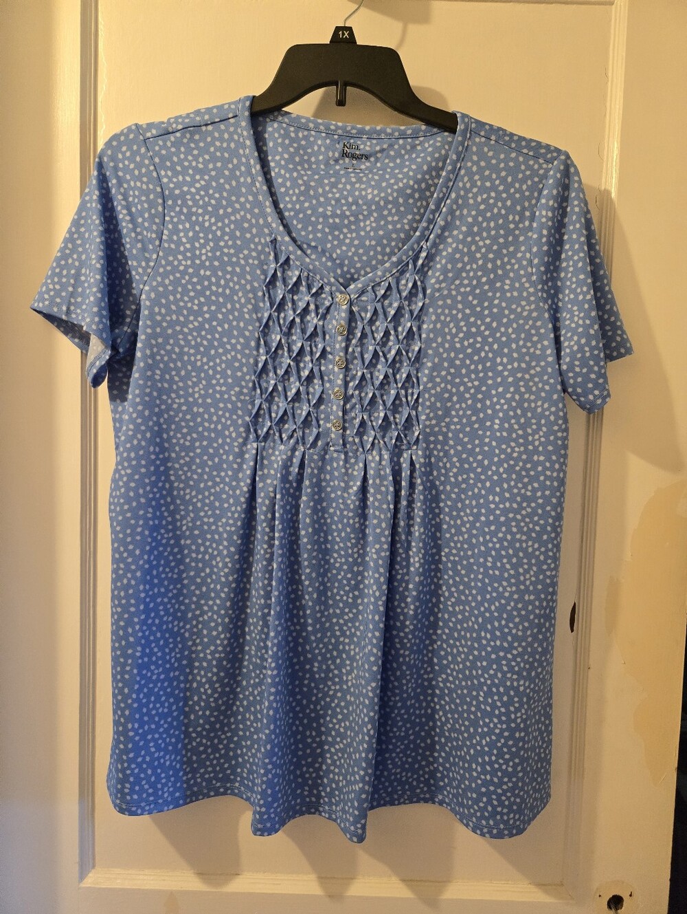 Kim Rogers Signature Sky Blue Dot Pintuck Short Sleeve Top